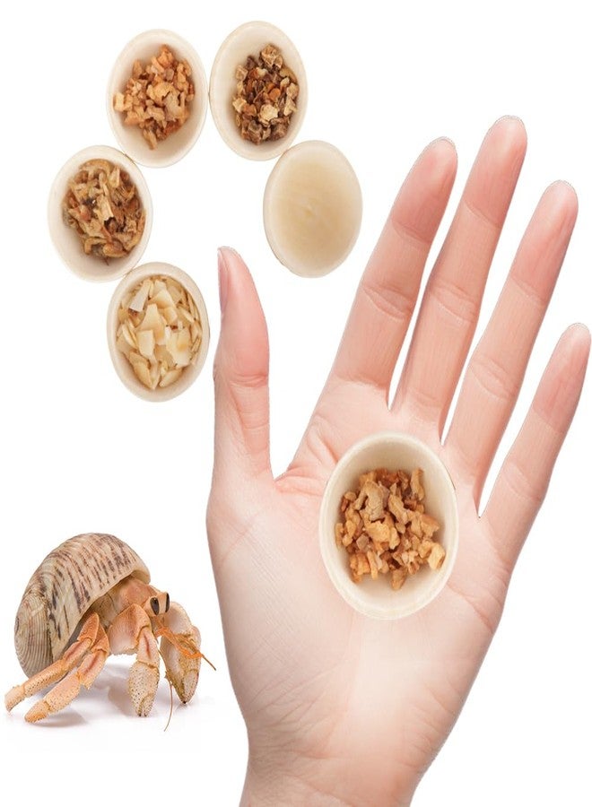 DQITJ 6 Pcs Hermit Crab Food Bowl Small Wooden Feeding Dish for Hermit Crab Snail Millipede Insect - Image 5